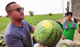 911爆料吃瓜在哪看,热门平台一览